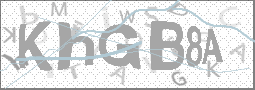 CAPTCHA Image