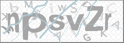 CAPTCHA Image
