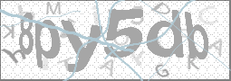 CAPTCHA Image
