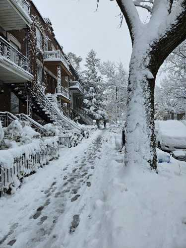 When the last leaf falls