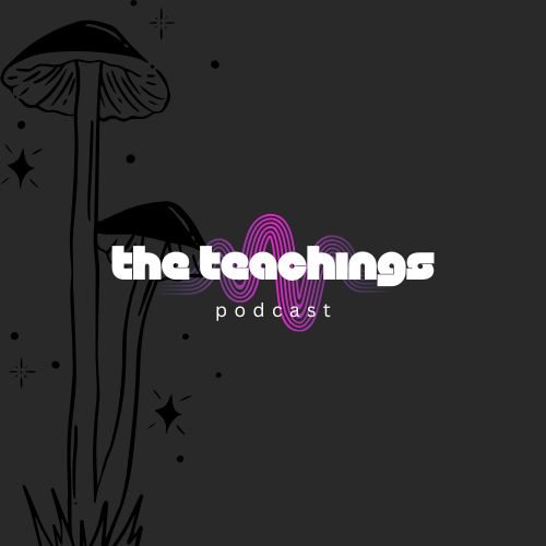 Program image