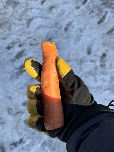 road carrot