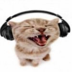 rach_xd's avatar